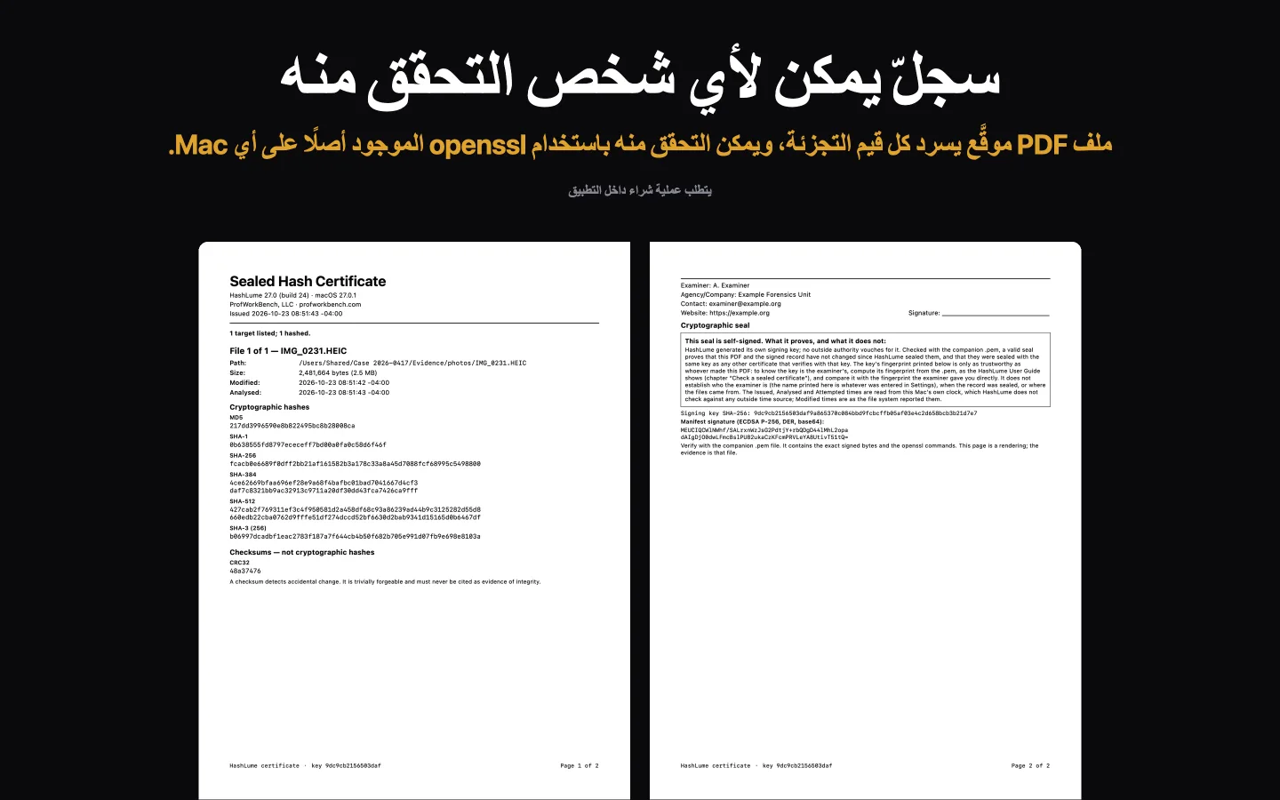 صفحتا الشهادة المختومة من HashLume: الخلاصات لملف واحد، ثم بيانات الفاحص والمربع الذي يوضّح ما لا يُثبته الختم
