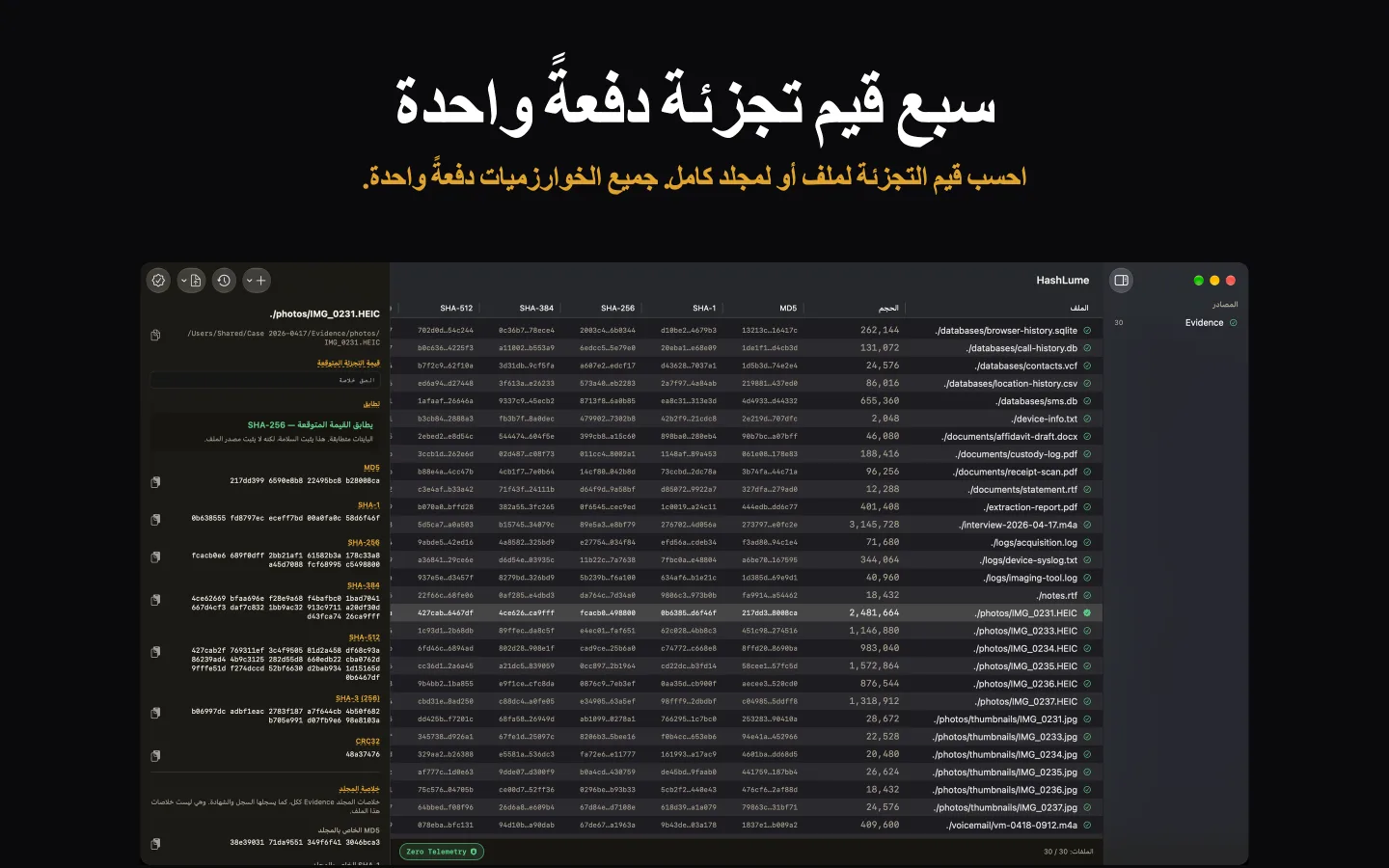 HashLume يعرض سبع خلاصات لمجلد من الملفات، والملف المحدد يطابق قيمته المتوقعة
