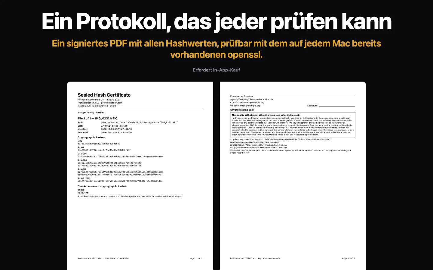 Die zwei Seiten eines Versiegelten Zertifikats von HashLume: Hashwerte für eine Datei, dann die Angaben zum Prüfer und der Kasten, der erklärt, was das Siegel nicht beweist