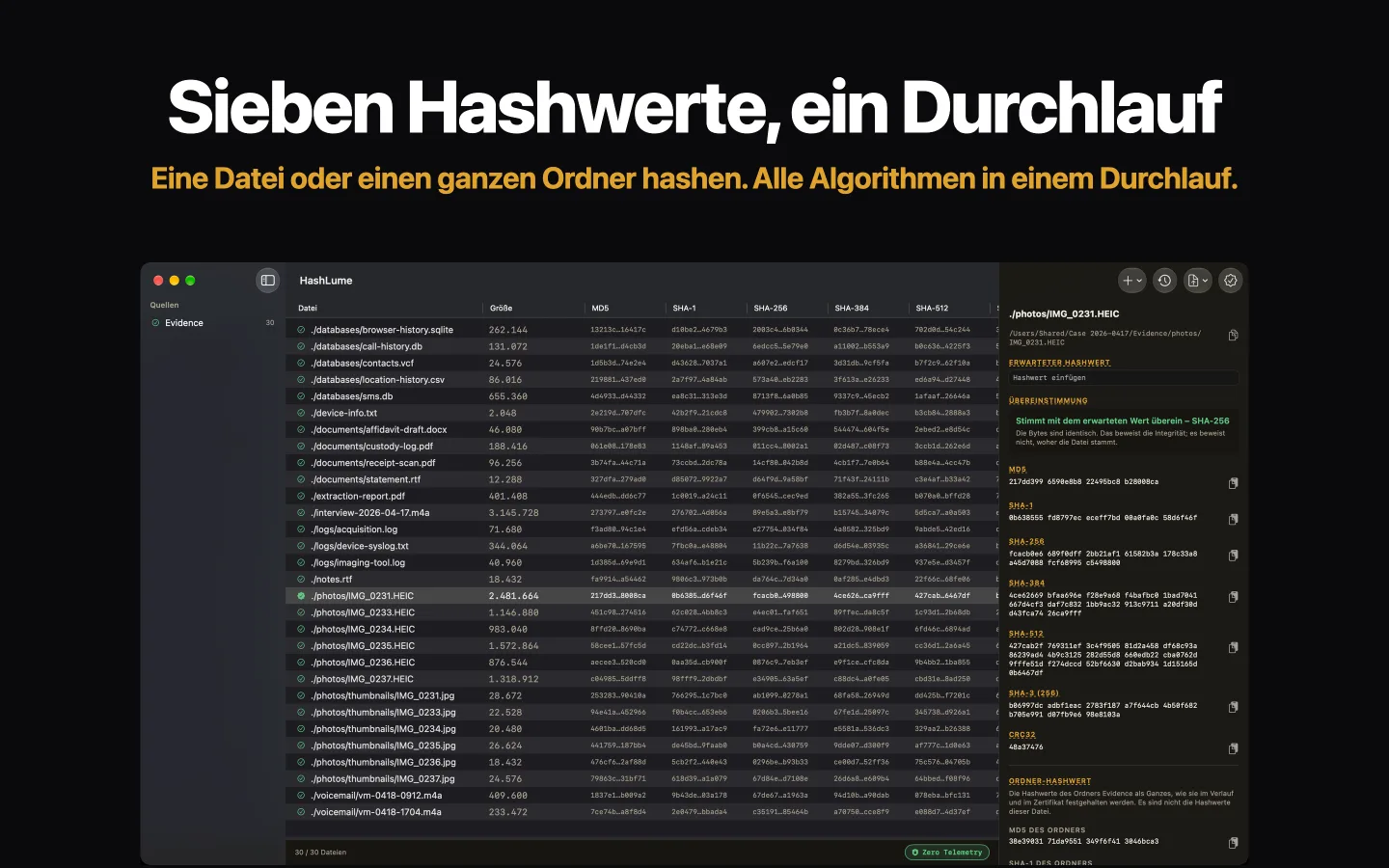 HashLume zeigt sieben Hashwerte für einen Ordner mit Dateien; die ausgewählte Datei stimmt mit ihrem erwarteten Wert überein