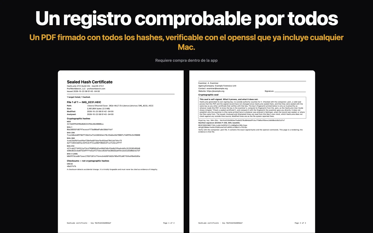Las dos páginas de un Certificado sellado de HashLume: los resúmenes de un archivo y, a continuación, los datos del perito y el recuadro que explica lo que el sello no demuestra