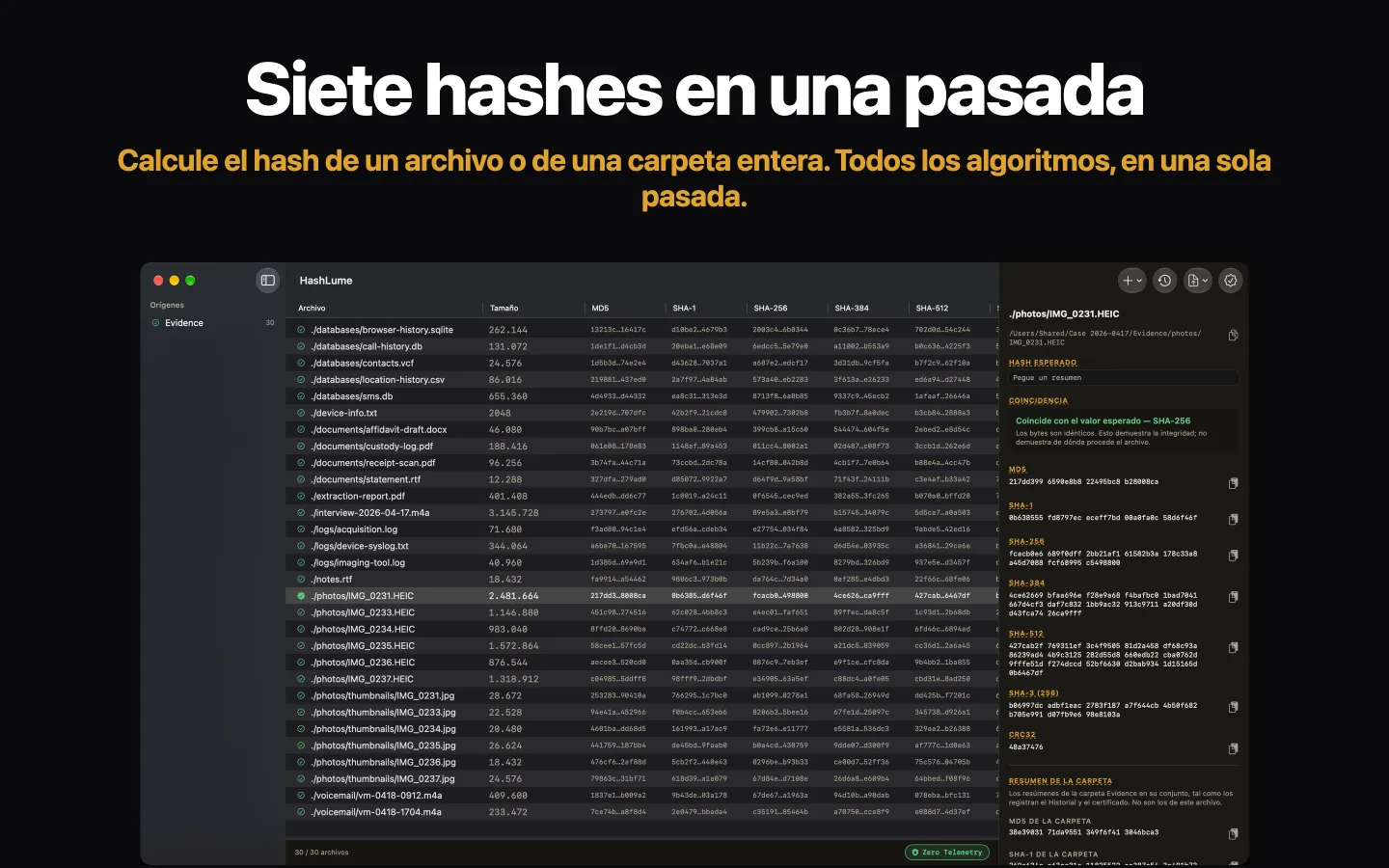 HashLume muestra siete resúmenes de una carpeta de archivos; el archivo seleccionado coincide con su valor esperado