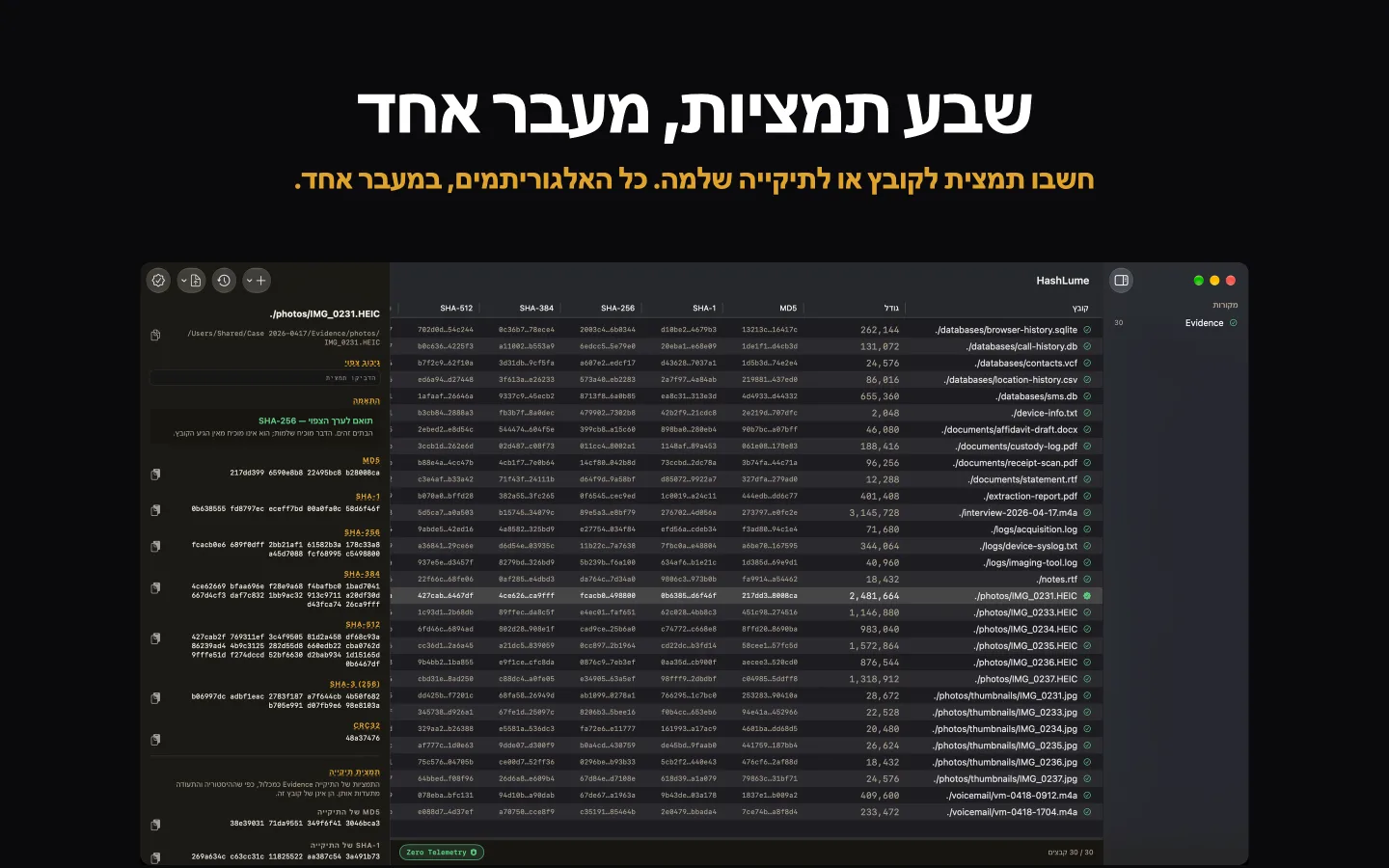 HashLume מציגה שבע תמציות לתיקיית קבצים, והקובץ הנבחר תואם לערך הצפוי שלו