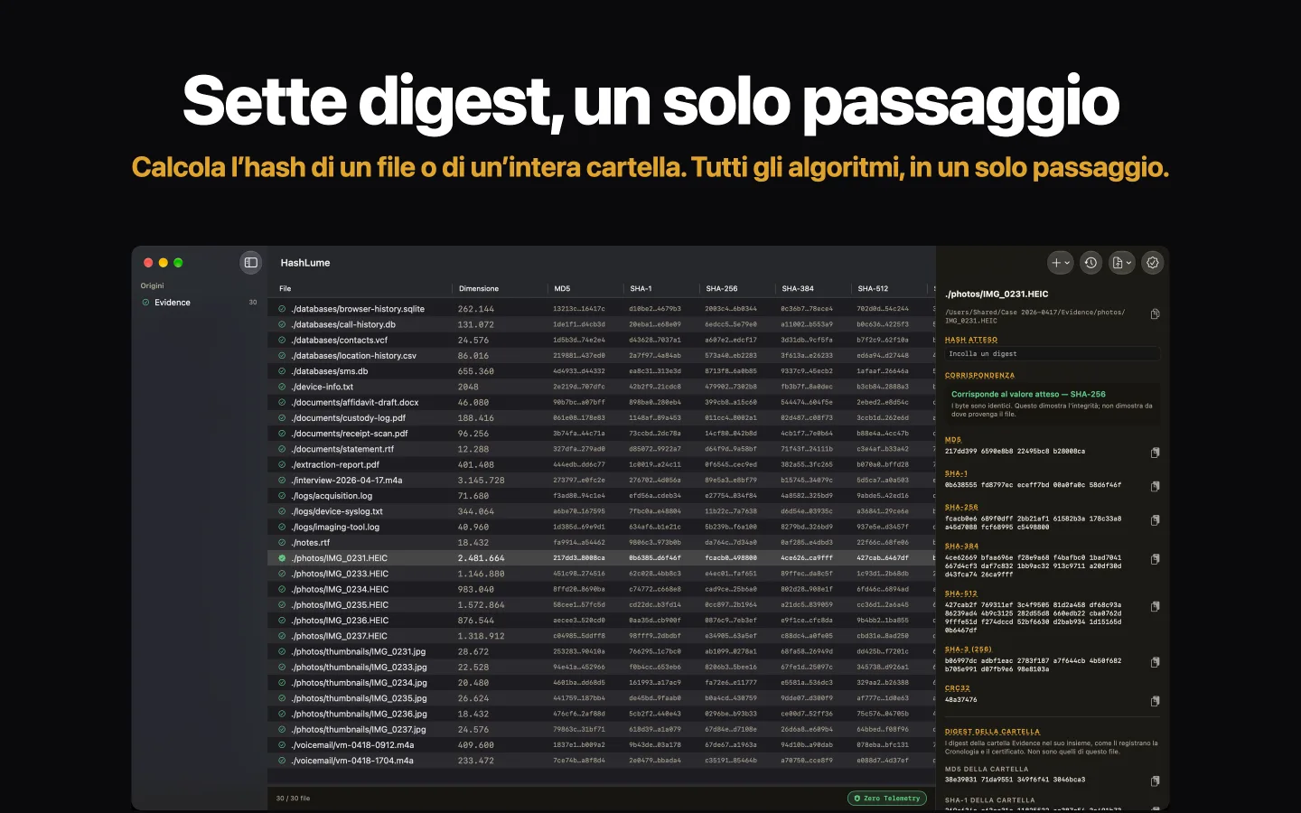 HashLume che mostra sette digest per una cartella di file, con il file selezionato che corrisponde al valore atteso