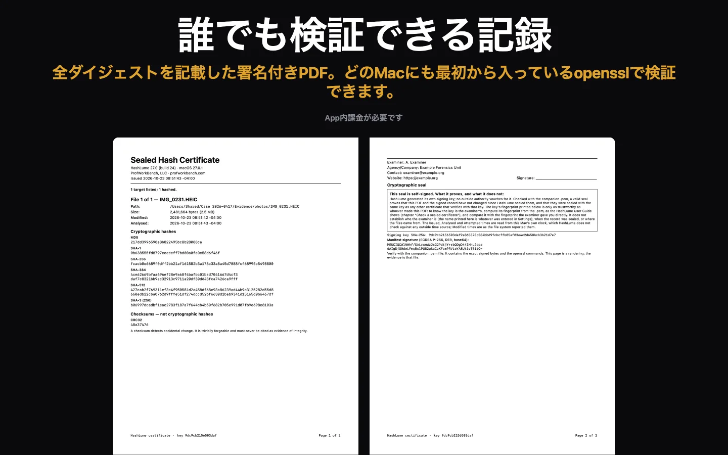 HashLume の封印付き証明書の2ページ：1つのファイルのダイジェスト、続いて調査担当者の情報と、封印が証明しないことを説明する枠