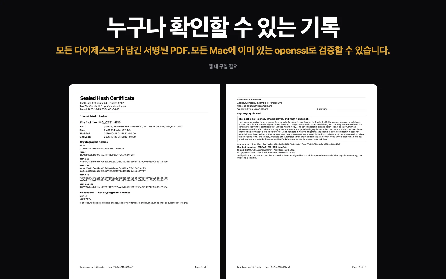 HashLume 봉인 인증서의 두 페이지: 파일 하나의 다이제스트, 이어서 분석자 정보와 봉인이 증명하지 않는 것을 설명하는 상자