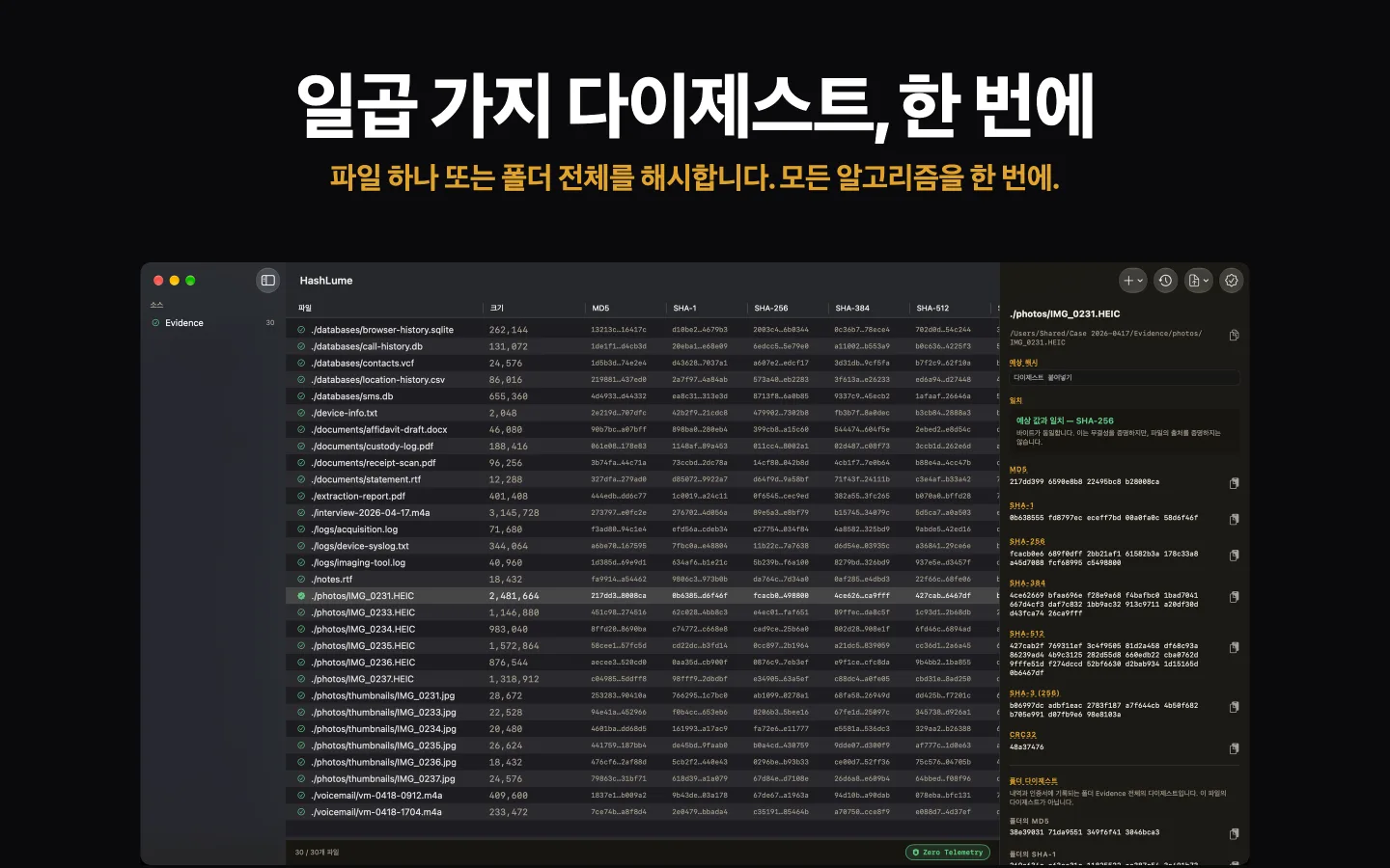 폴더 안 파일들의 일곱 가지 다이제스트를 보여 주는 HashLume. 선택한 파일이 예상 값과 일치합니다
