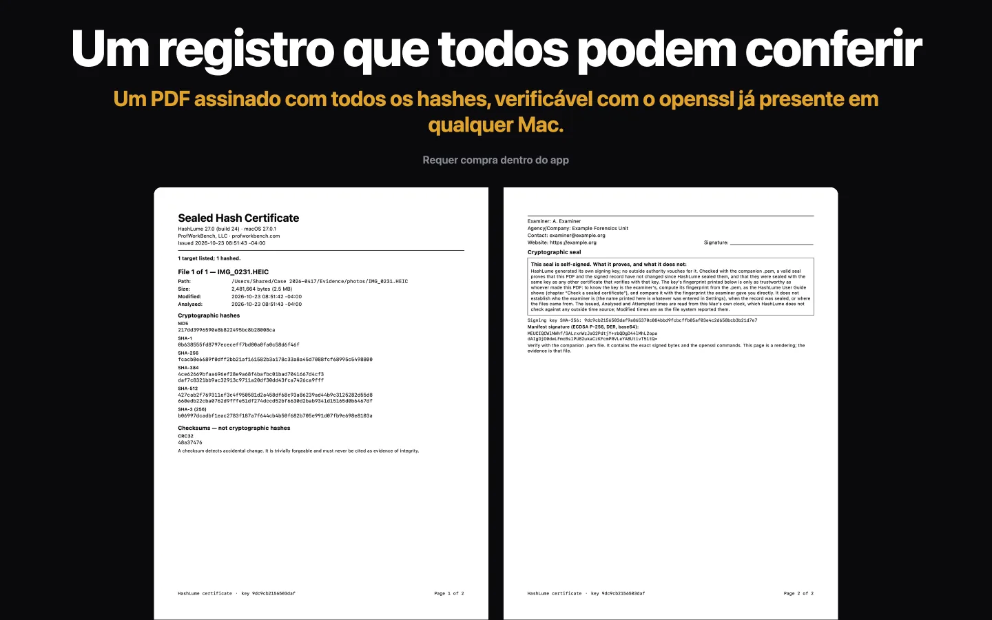 As duas páginas de um Certificado Selado do HashLume: os resumos de um arquivo e, em seguida, os dados do perito e o quadro que explica o que o selo não prova