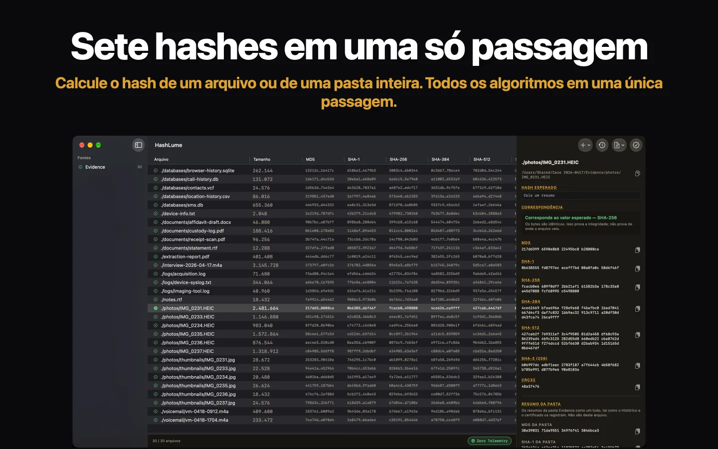 O HashLume exibindo sete resumos de uma pasta de arquivos, com o arquivo selecionado correspondendo ao seu valor esperado