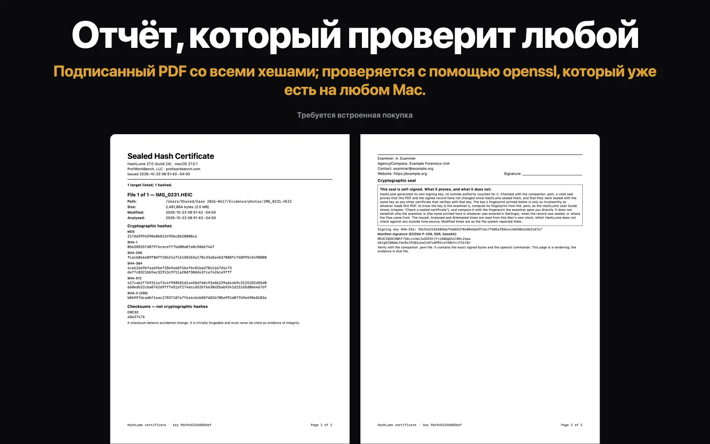 Две страницы Сертификата с печатью HashLume: хеш-значения одного файла, затем данные эксперта и блок с пояснением, чего печать не доказывает